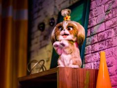 Secret Life of Pets: Off the Leash! Ride at Universal Studios Hollywood